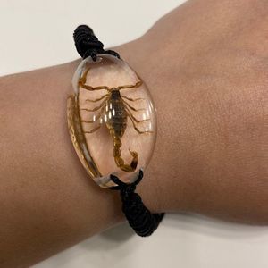 Gold Scorpion in Resin Drawstring Bracelet